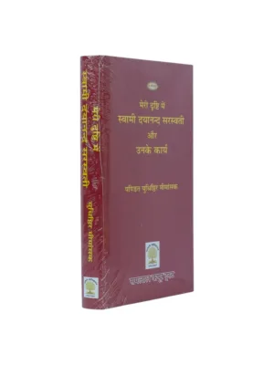 meri-drishti-me-swami-dayanand-evam-unke-karya-angled