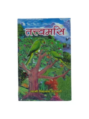 Tattvamasi (Hindi–Sanskrit) – by Swami Vidyanand Saraswati | Upanishadic Mahavakya Vedanta Study